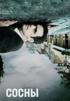 Сосны (2015) смотреть онлайн в HD