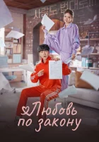  Любовь по закону (2022) смотреть онлайн в HD