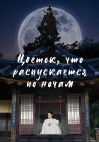 Цветок, что распускается по ночам (2024) смотреть онлайн в HD