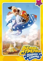  Белка и Стрелка: Озорная семейка (2011) смотреть онлайн в HD