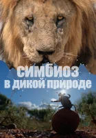  Симбиоз в дикой природе (2023) смотреть онлайн в HD