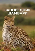  Заповедник Шамвари (2018) смотреть онлайн в HD