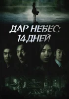  Дар небес: 14 дней (2014) смотреть онлайн в HD
